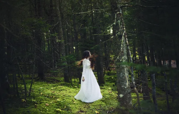 Picture forest, girl, white dress, spinning