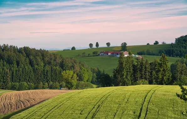 Landscape, hills, field