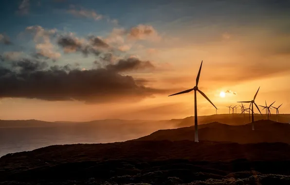 Picture night, nature, windmills