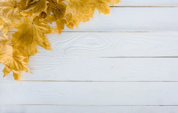 Picture autumn, leaves, background, tree, Board, wood, background, autumn