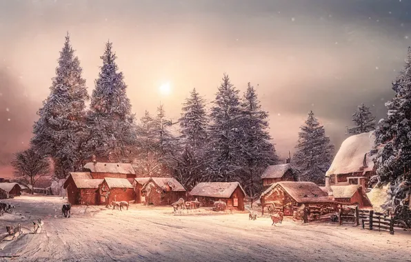 Winter, frost, road, animals, the sun, light, snow, landscape