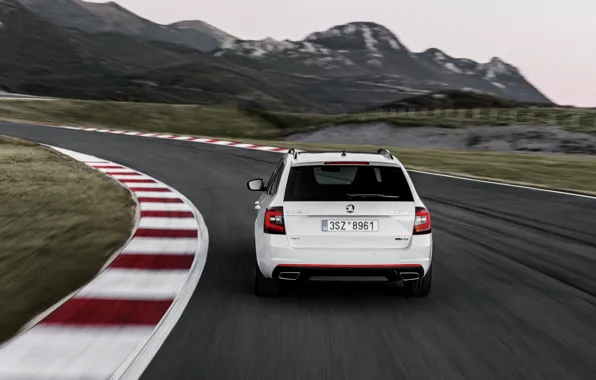 Picture white, the sky, mountains, vegetation, track, rear view, Skoda, universal