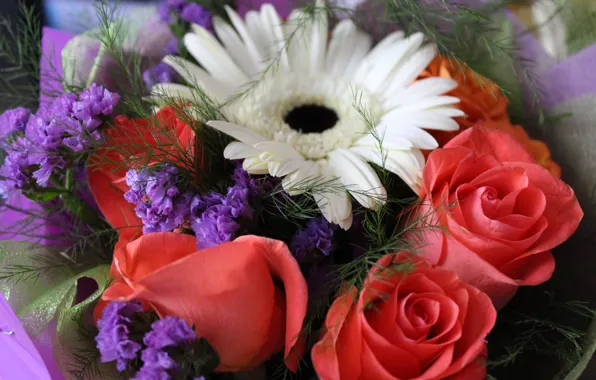 Roses, Flowers, bouquet, gerbera