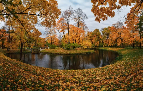 Autumn, trees, pond, Park, Saint Petersburg, Russia, island, fallen leaves