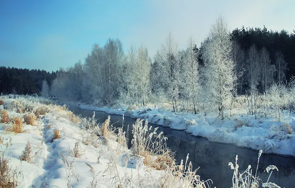 Picture winter, snow, river