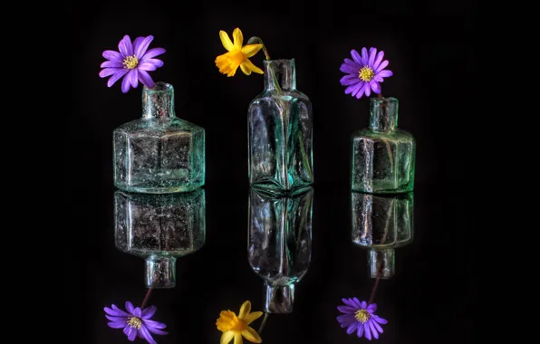 Picture glass, flowers, reflection, bottle, petals, still life, decanter
