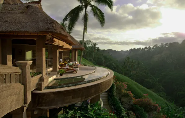 Landscape, nature, house, palm trees, House, Deck, Palm Trees, Tropical