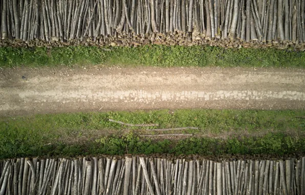 Road, forest, trees, the view from the top, logs, United Kingdom, forest road, UK