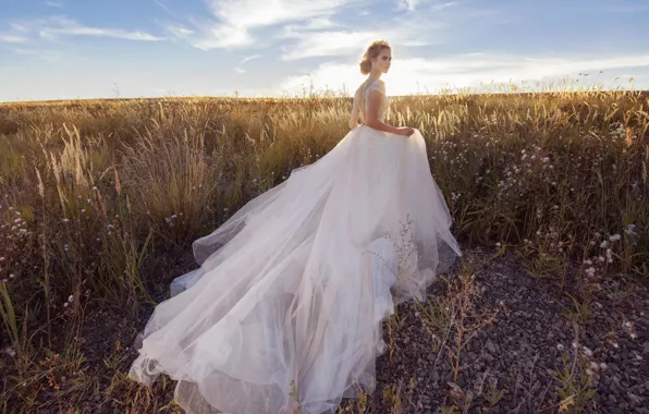 Picture field, grass, style, model, dress, the bride