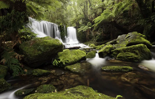 Summer, tropics, river, stones, waterfall, moss, Nature, beautiful