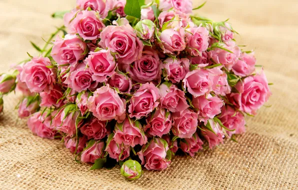 Picture leaves, flowers, roses, bouquet, petals, pink, buds