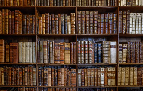 Library, Religion, Books, Winchester Cathedral