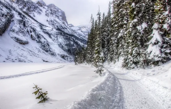 Road, forest, snow, mountains, trees, landscape, nature, winter