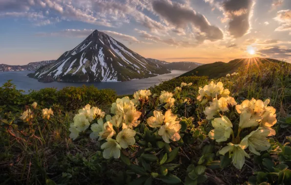 Flowers, mountains, lake, sunrise, dawn, morning, the volcano, Russia