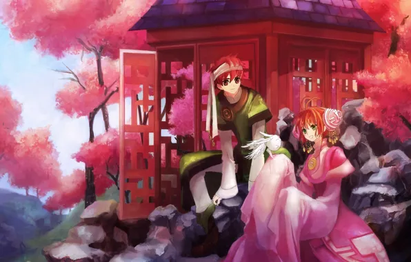 Picture Sakura, chronicle of the wings, Shaoran, mokona, tsubasa