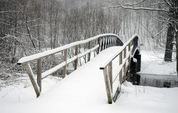 Cold, winter, trees, bridge, Park, snowy, Snowbound bridge