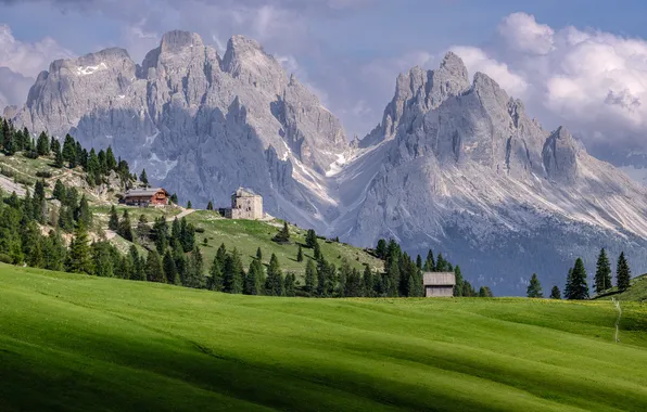 Field, forest, clouds, mountains, rocks, hills, tops, Alps