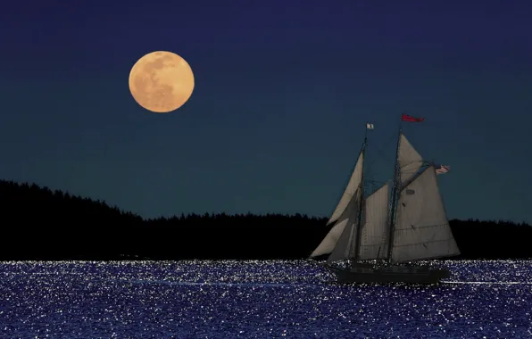 Picture sea, the moon, Nature, sailboat