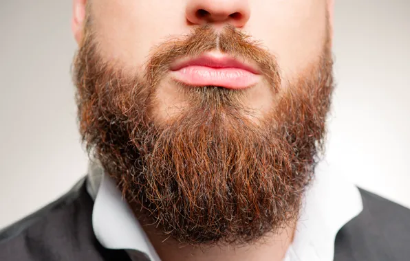Man, lips, beard
