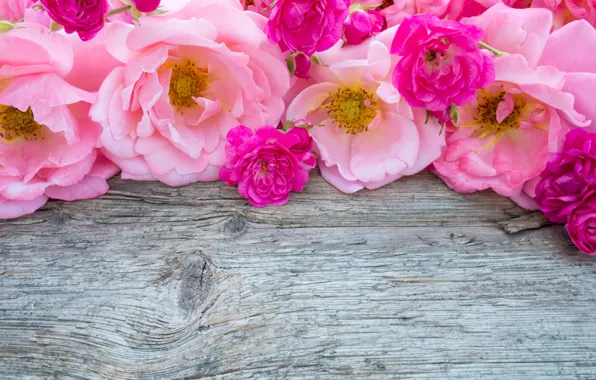 Flowers, pink, buds, wood, pink, flowers, bud