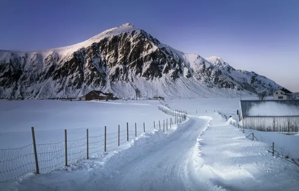 Picture winter, road, snow