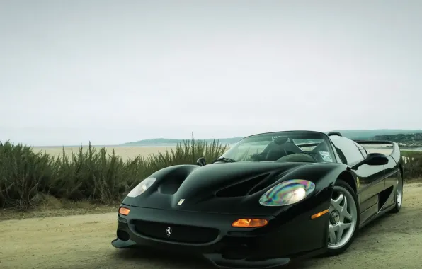 Black, Ferrari, Primer