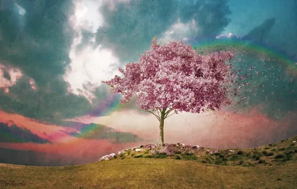 Picture the sky, the wind, rainbow, watercolor, flowering, texture, pink tree