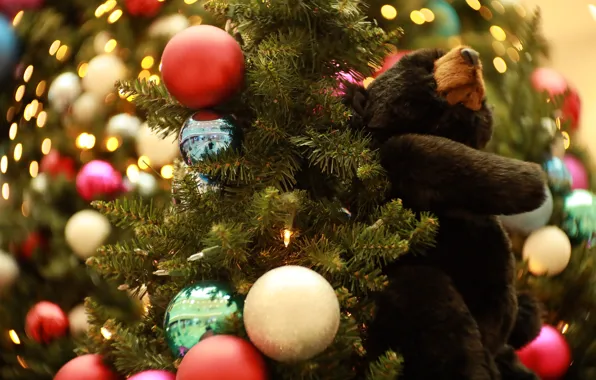 Balls, branches, lights, holiday, balls, toy, blur, bear