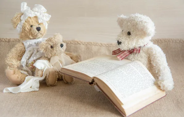 Toys, book, Teddy bears, the three bears