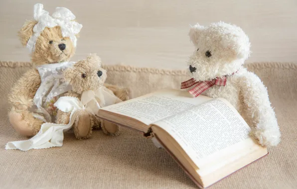 Toy, book, Teddy bears, the three bears