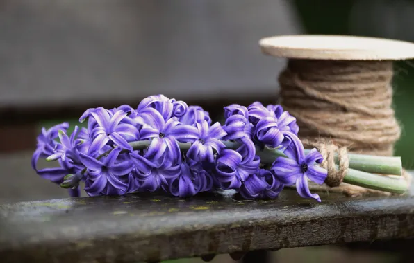 Flowers, background, rope, rope, Board, thread, lilac, hyacinths