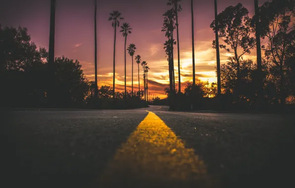Wallpaper road, sunset, palm trees, the evening for mobile and desktop ...