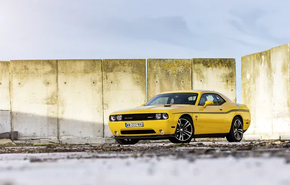 Yellow, Board, muscle car, Dodge, yellow, dodge, challenger, muscle car
