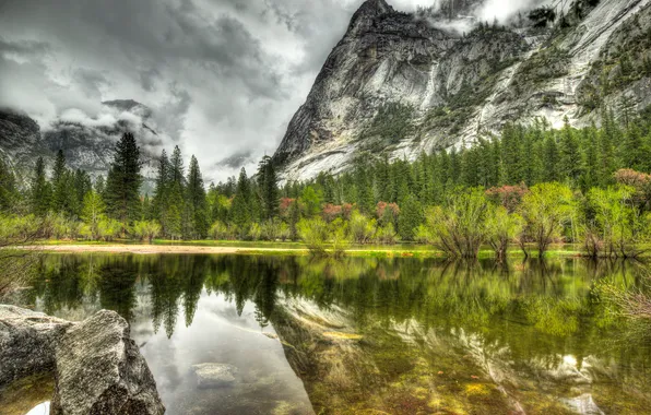 Picture forest, lake, grey, mountain, day