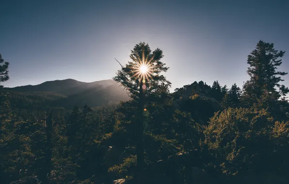Picture the sun, trees, mountains