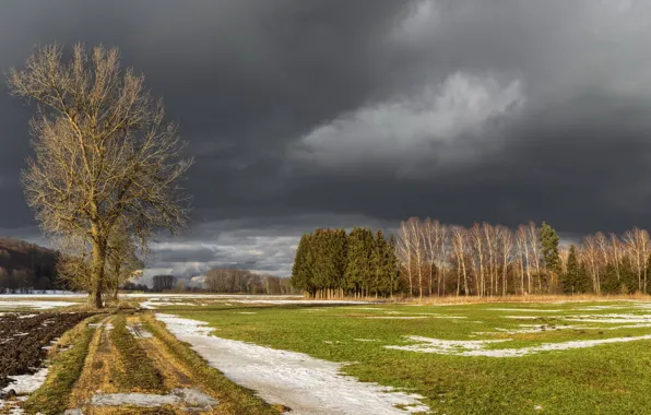 Road, field, snow, nature