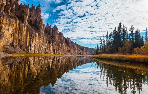 Picture river, landscape, Lena, taiga, Yakutia