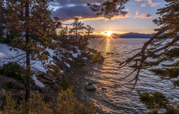 Snow, trees, sunset, lake, Nevada, Nevada, Lake Tahoe, lake Tahoe