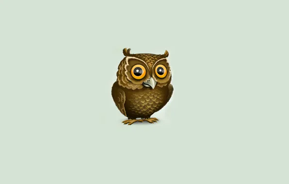 Picture owl, minimalism, owl