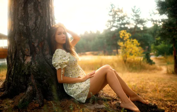 Girl, grass, trees, field, nature, model, women, brunette