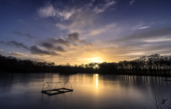 Forest, the sky, clouds, trees, sunset, river, shore, England