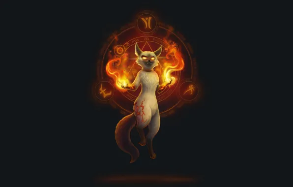 Cat, Cat, Fire, Art, Art, Fiction, Cat, Magic