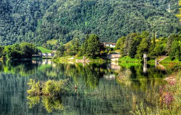 Picture forest, mountains, lake, the village