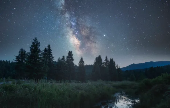 Forest, summer, the sky, grass, space, stars, mountains, night