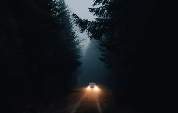 Machine, forest, light, darkness, lights