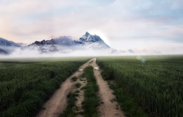 Road, field, mountains, fog