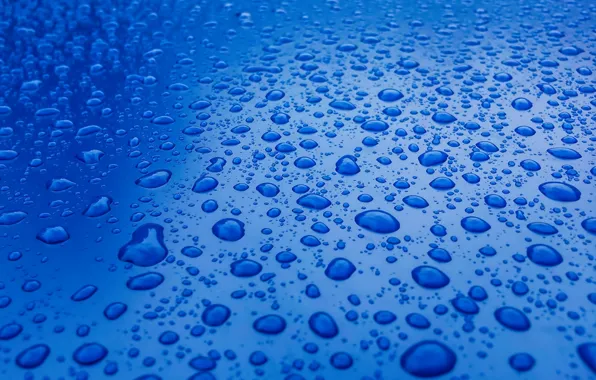 Water, drops, surface, blue