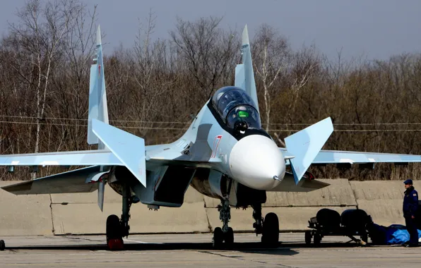 Picture fighter, cabin, multipurpose, double, Su-30CM