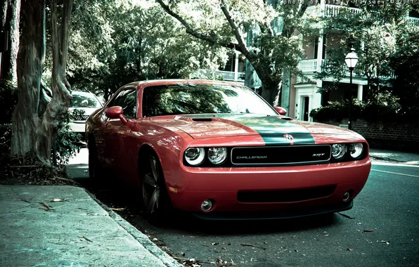 Picture Dodge, challenger, srt8, American, powerful