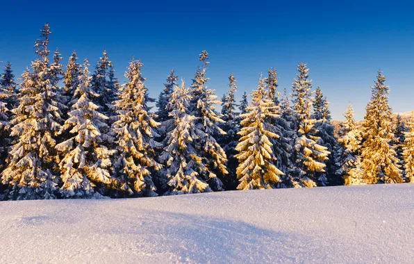 The sky, the sun, snow, ate